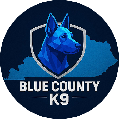 533752891_18076492165972269_9075214981108170333_n 5