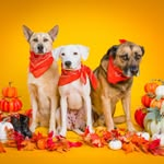 554400623_18086769827506217_9140177879598975805_n 1