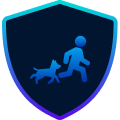 shield-with-crown-svgrepo-com 3